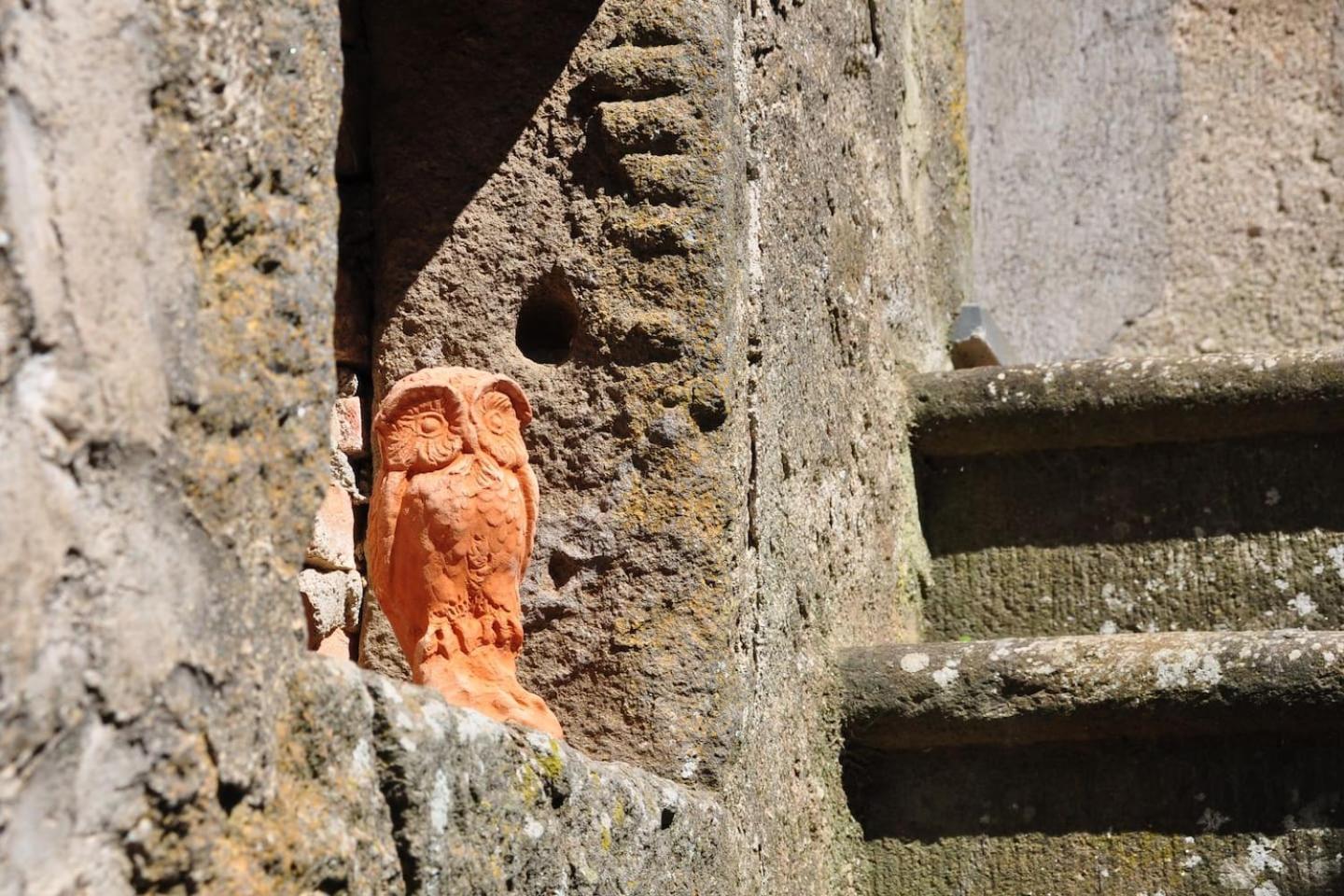 Le Civette Daire Montecatini Val di Cecina Dış mekan fotoğraf